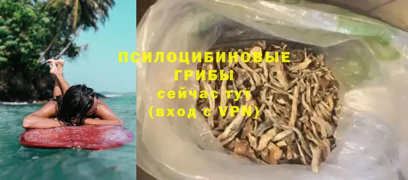 Псилоцибиновые грибы Magic Shrooms Долинск